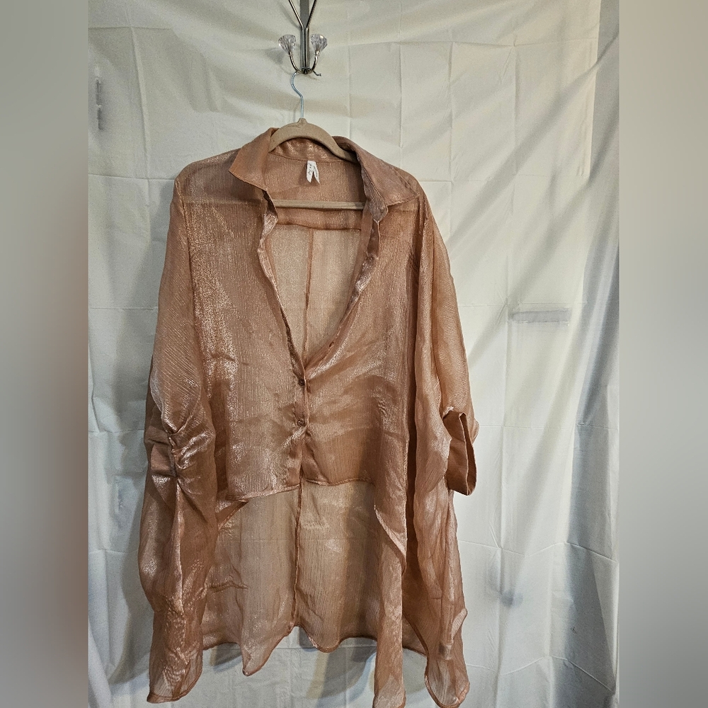 Sheer Champaign Pink Color High_low Women's Blouse